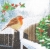 Serwetka -1728-